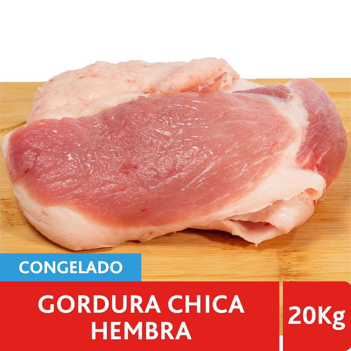 Gordura Chica Hembra