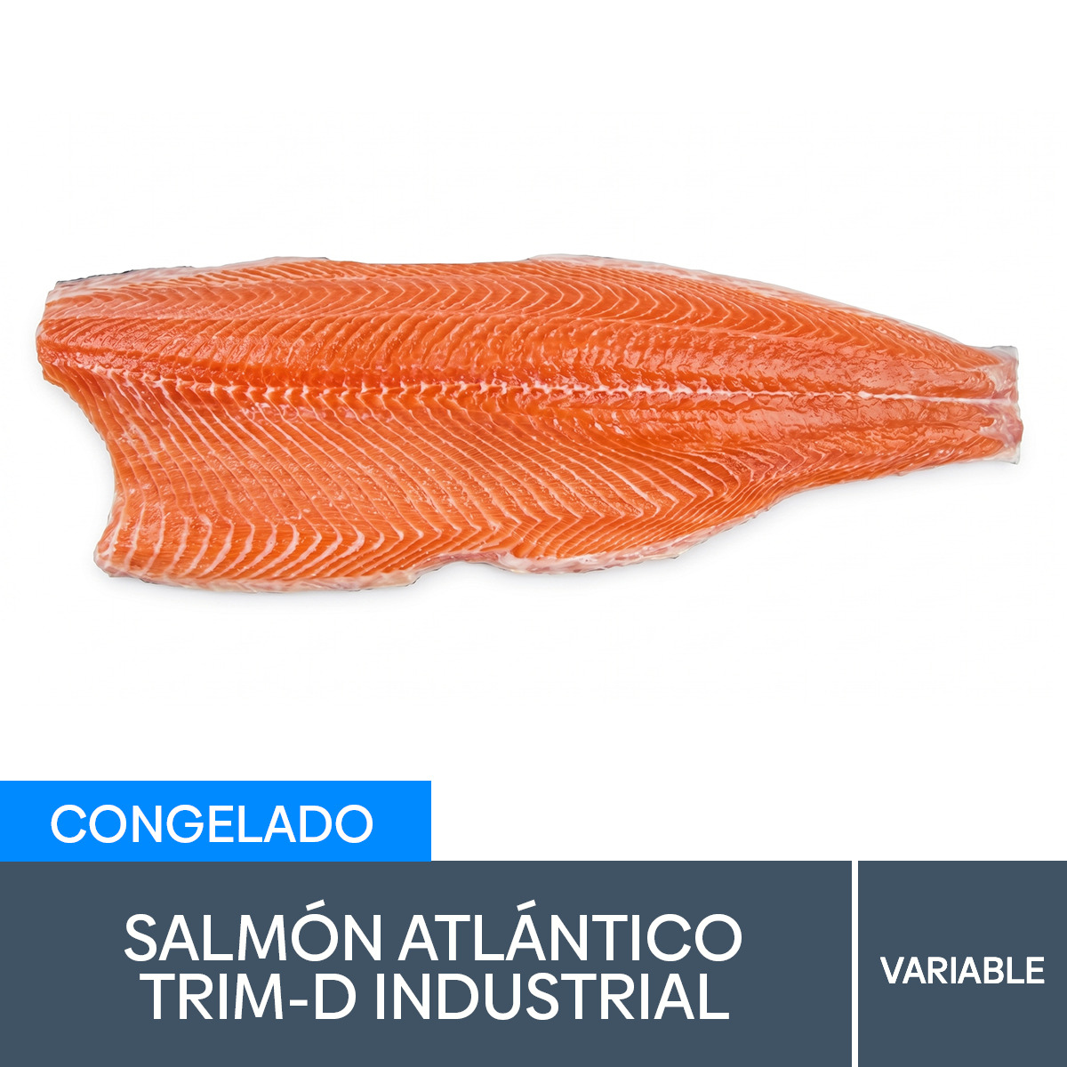 Salmón TRIM D 2-3 LB